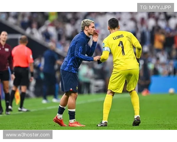 格列兹曼与本泽马国家队战术角色适配性对比